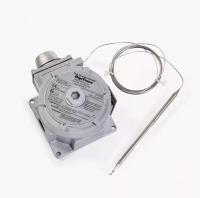 RAYSTAT EX-02 (EEx d II C) (404385-000) Управляющий термостат Control Thermostat
